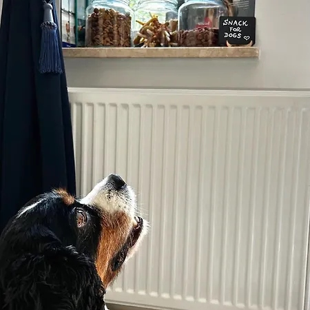 Antonina 公寓式酒店