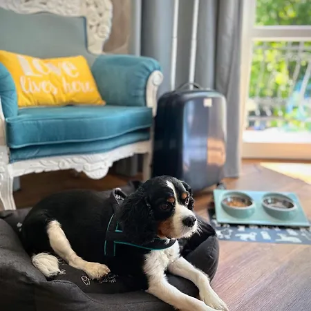 Antonina 4* 索波特