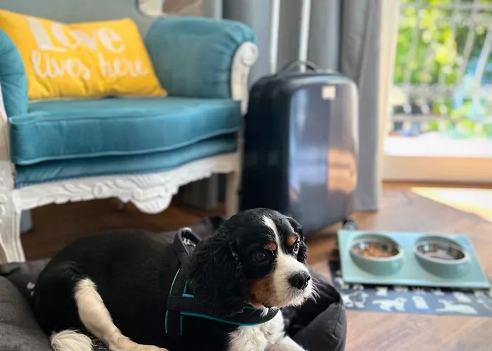 Antonina 4* סופוט